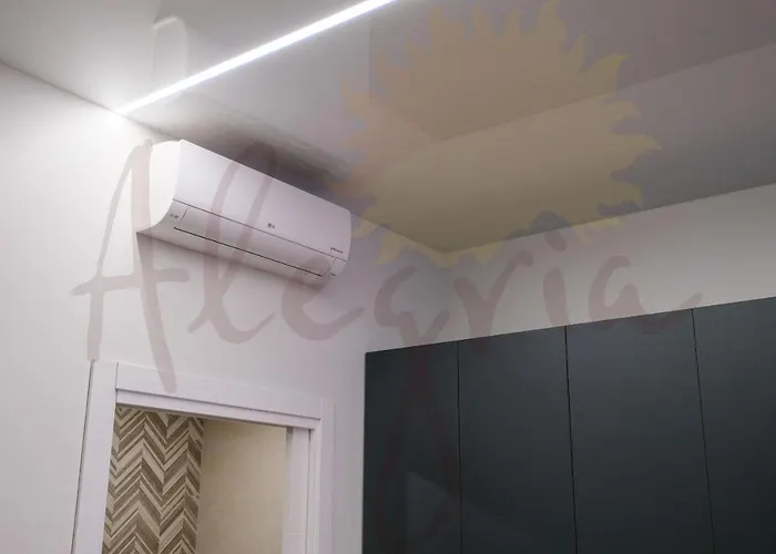 Estudio Moderno En Alicante